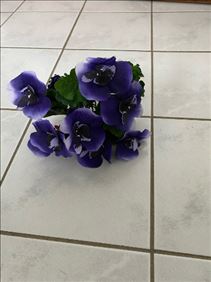 Abbildung: Seidenblumen kurz und  lang (2)